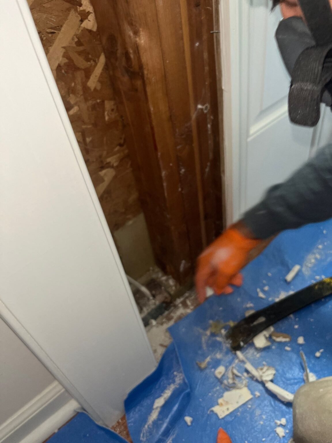 Protect Your Home with Nash Everett’s Mold Removal Solutions Mold Removal